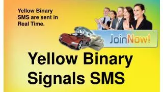 Yellow Binary Signals SMS