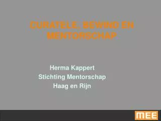 curatele bewind en mentorschap