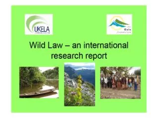 WILD LAW INTERNATIONAL RESEARCH PROJECT 2009