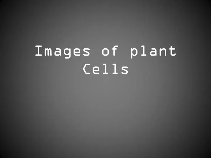 images of plant cells