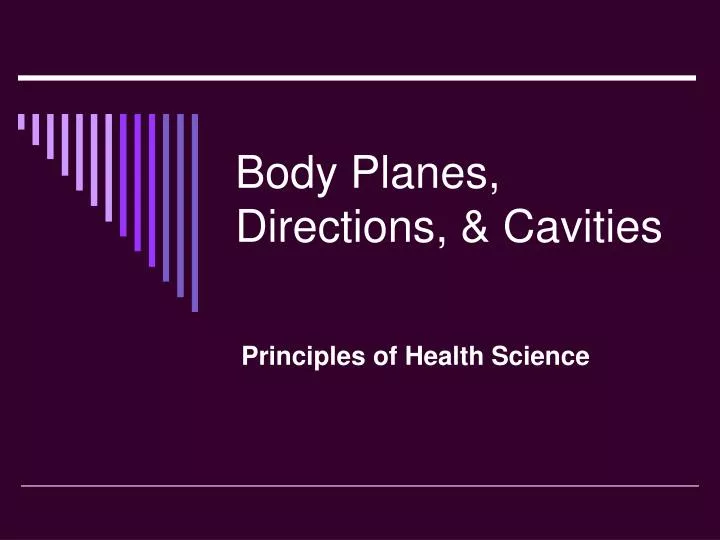 body planes directions cavities