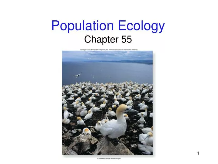 population ecology chapter 55