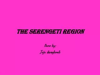 The Serengeti Region
