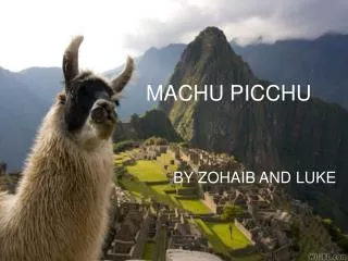 MACHU PICCHU