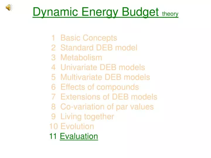 dynamic energy budget theory