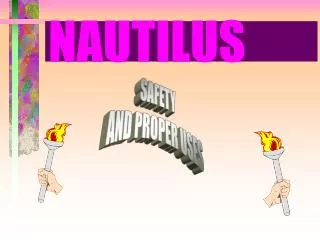 PPT - Nautilus Morphology PowerPoint Presentation, free download - ID ...