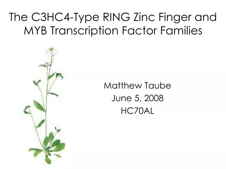 the c3hc4 type ring zinc finger and myb transcription factor families