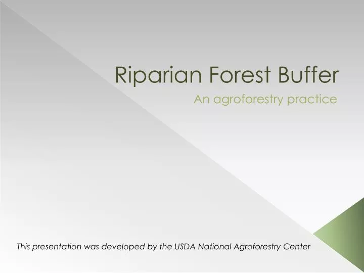 riparian forest buffer