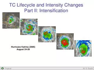 TC Lifecycle and Intensity Changes Part II: Intensification