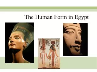 The Human Form in Egypt