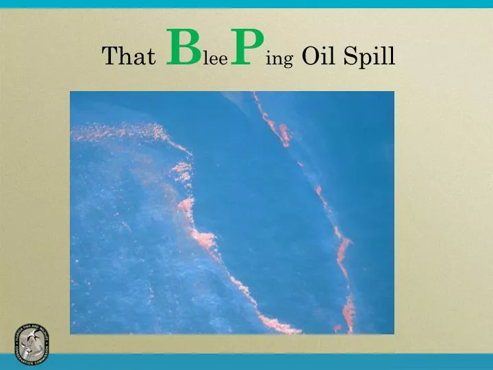 that b lee p ing oil spill