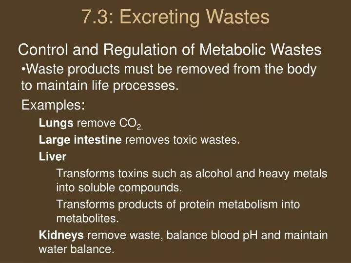 7 3 excreting wastes