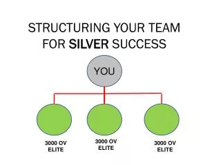 STRUCTURING YOUR TEAM FOR SILVER SUCCESS