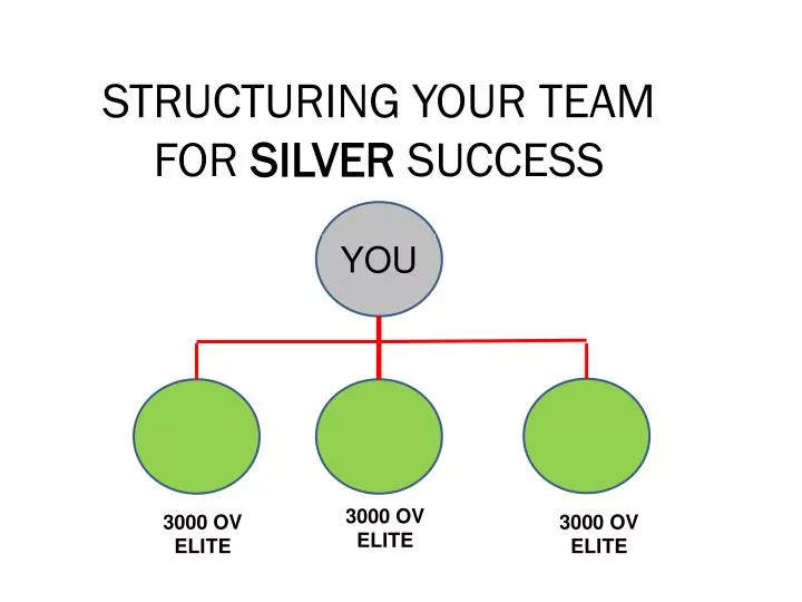 structuring your team for silver success