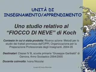 unit di insegnamento apprendimento