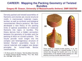 Stuart McKaige , Computational Algorithms for Packing Circles in a Square Box