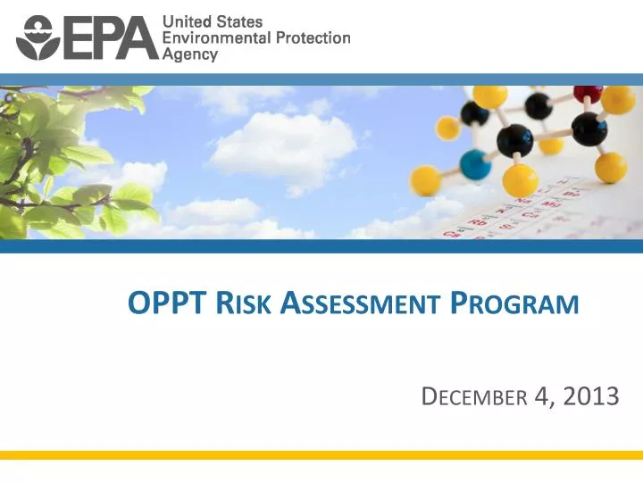 oppt risk assessment program