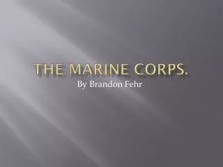 The Marine Corps.