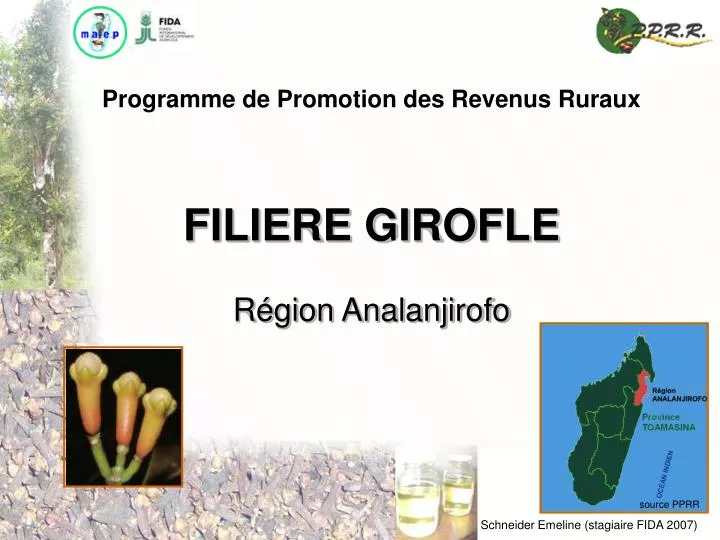 programme de promotion des revenus ruraux filiere girofle r gion analanjirofo