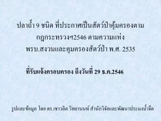 9 2546 2535