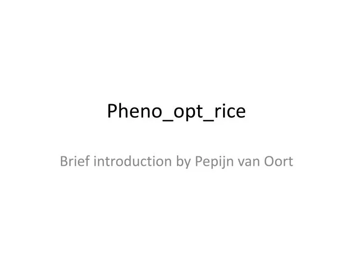 pheno opt rice