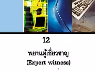 expert witness