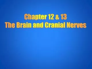 Chapter 12 &amp; 13 The Brain and Cranial Nerves