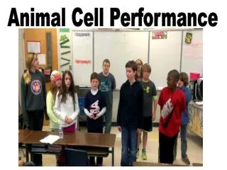 Animal Cell Performance
