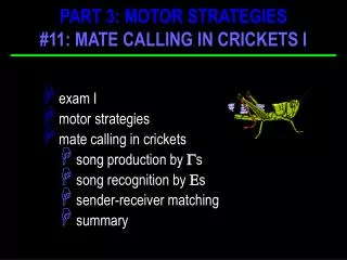 exam I motor strategies mate calling in crickets song production by ? s