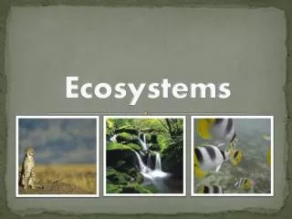 ecosystems