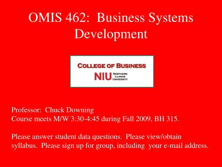 omis 462 business systems development