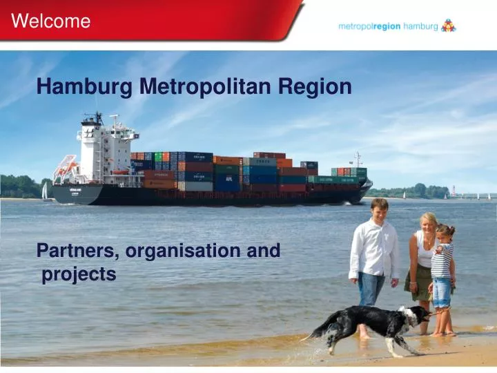 hamburg metropolitan region partners organisation and projects
