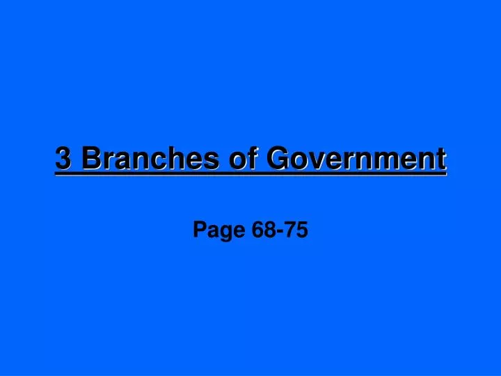 3 branches of government