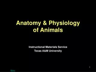 Anatomy &amp; Physiology of Animals