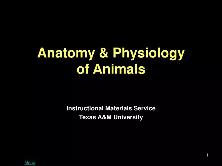 anatomy physiology of animals