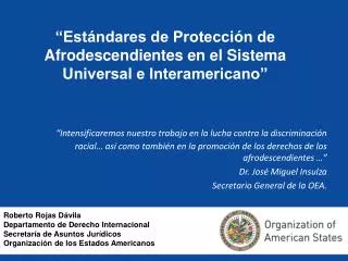 est ndares de protecci n de afrodescendientes en el sistema universal e interamericano