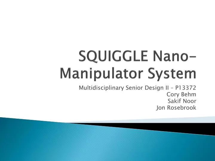 squiggle nano manipulator system
