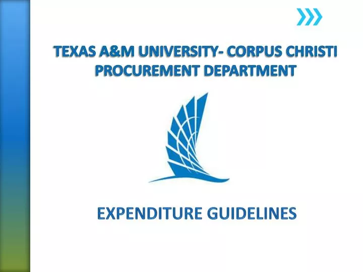 expenditure guidelines