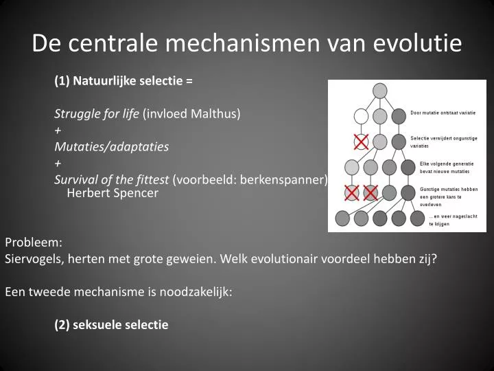 de centrale mechanismen van evolutie
