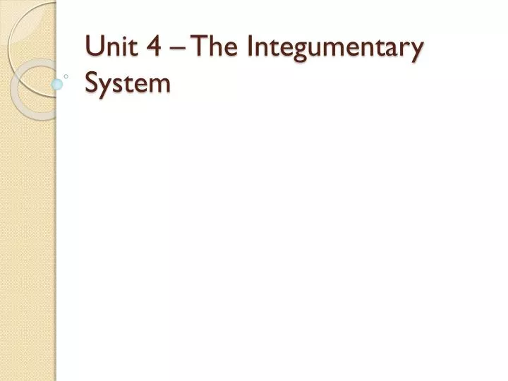 unit 4 the integumentary system
