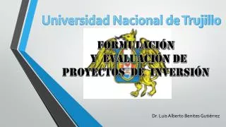 formulaci n y evaluaci n de proyectos de inversi n
