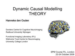 Dynamic Causal Modelling THEORY