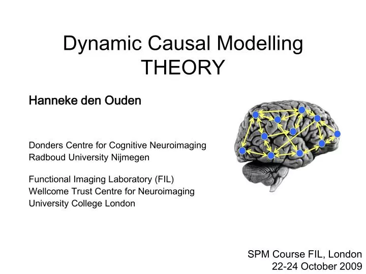 dynamic causal modelling theory
