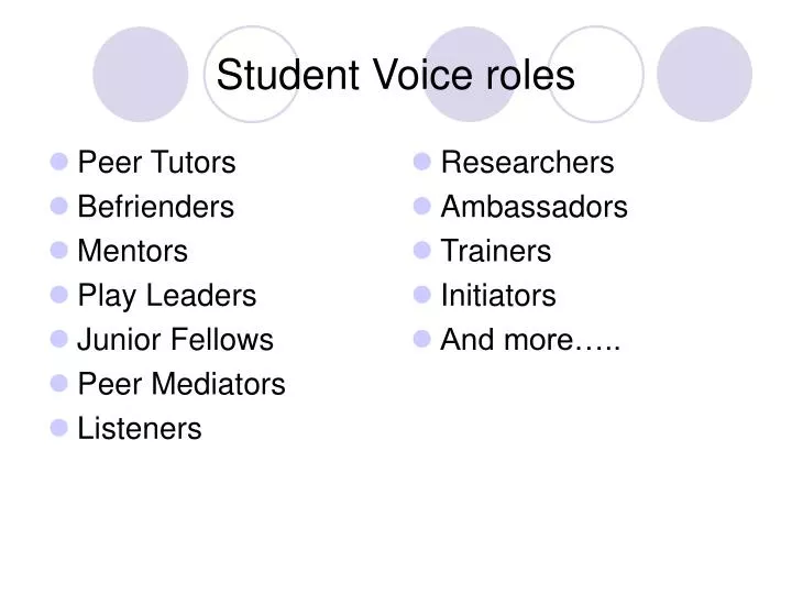 student voice roles