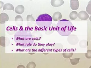 Cells &amp; the Basic Unit of Life