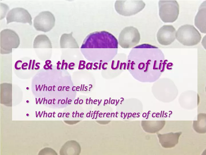 cells the basic unit of life