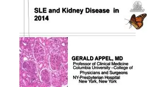 SLE and Kidney Disease in 2014 GERALD APPEL, MD