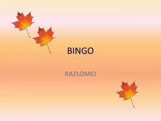 bingo