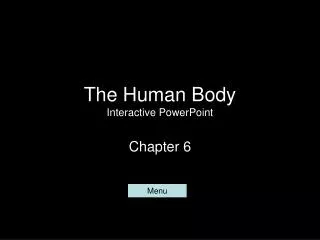 The Human Body Interactive PowerPoint
