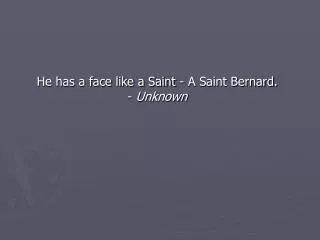 He has a face like a Saint - A Saint Bernard. - Unknown